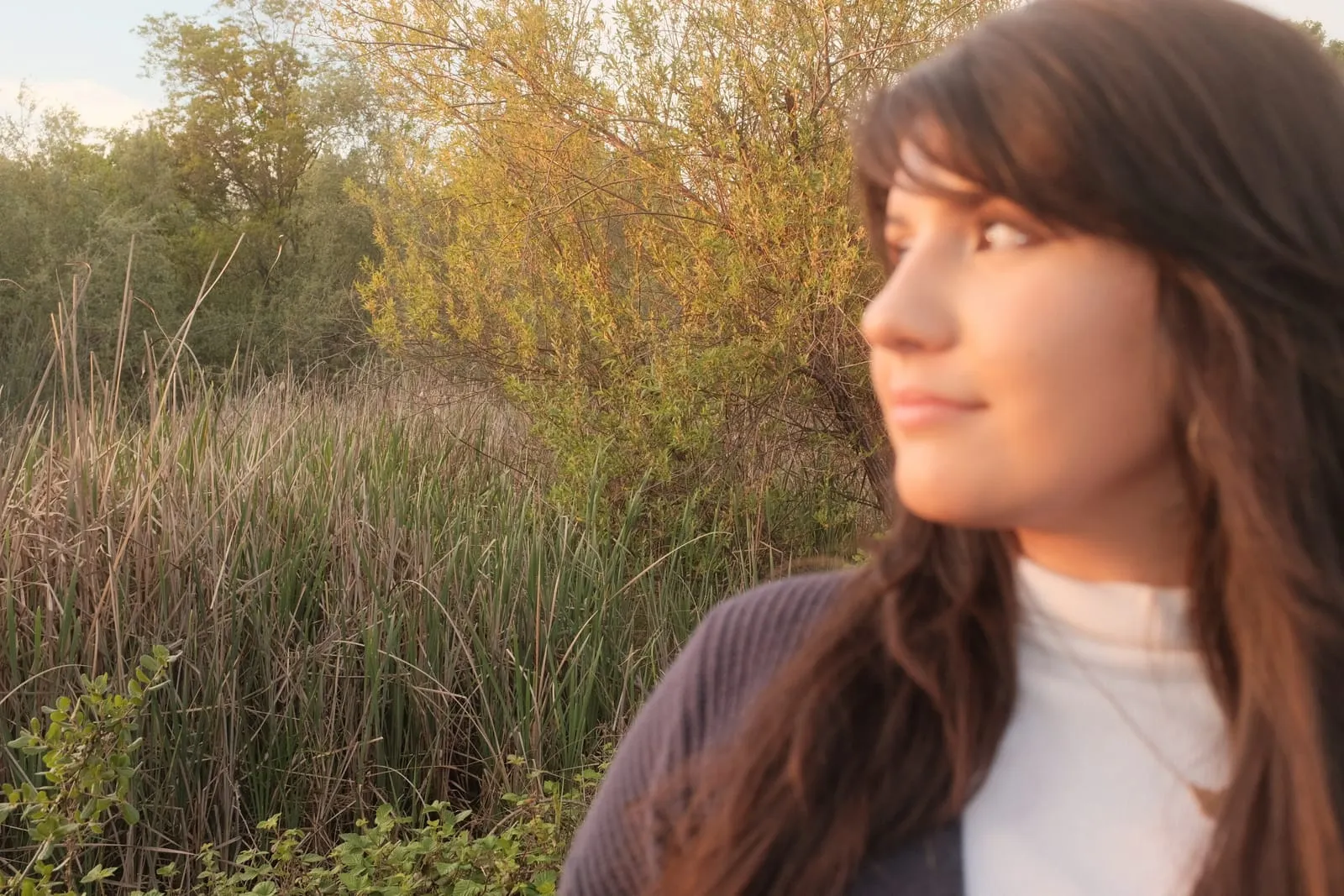 Golden hour, the long light