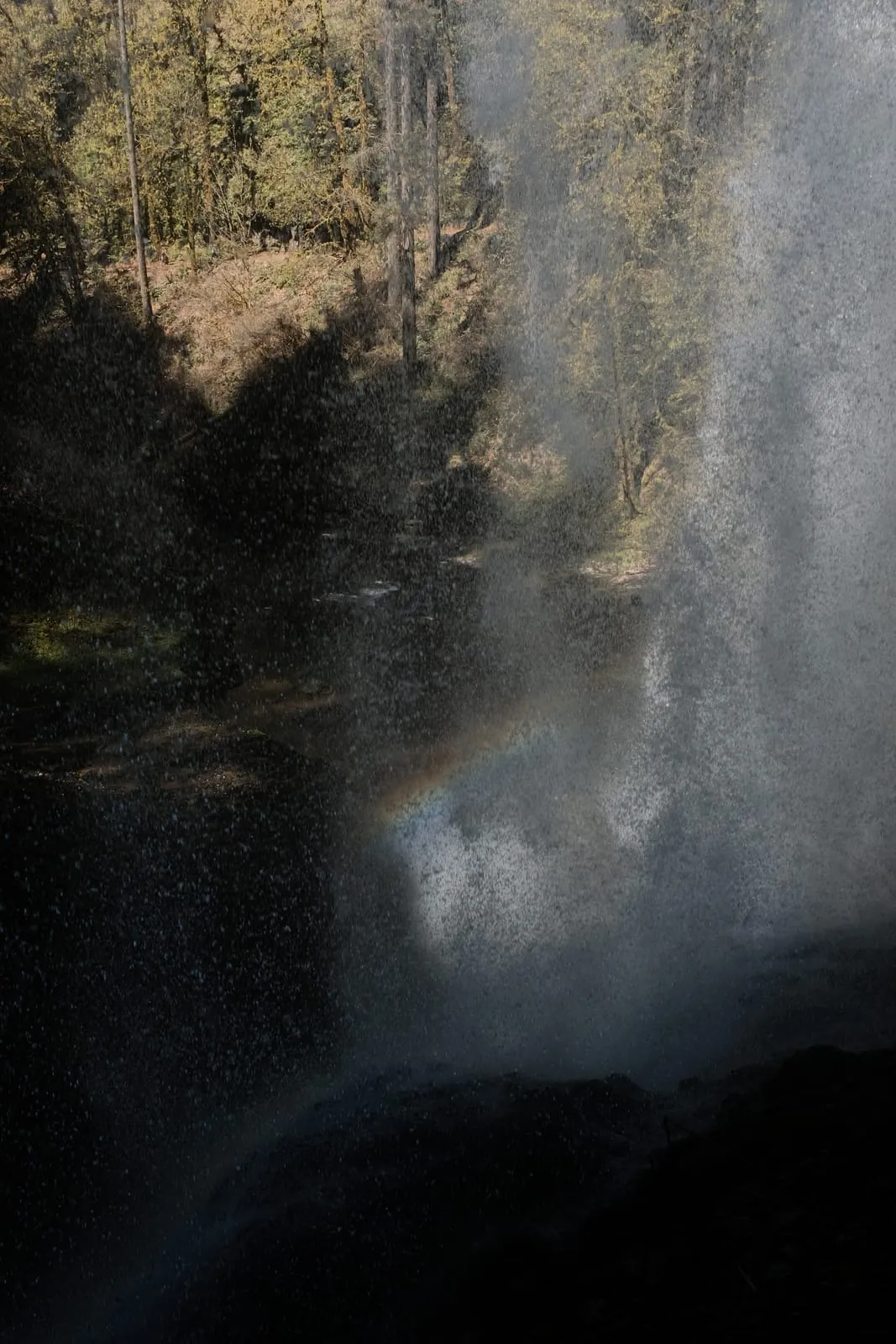 Waterfall, Pacific Northwest