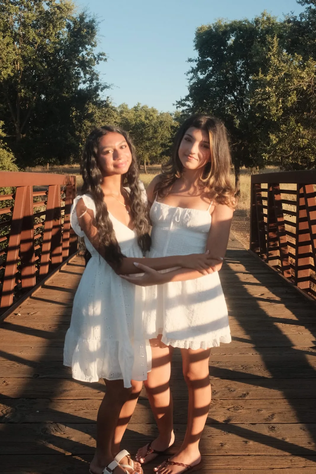 Two friends, golden field